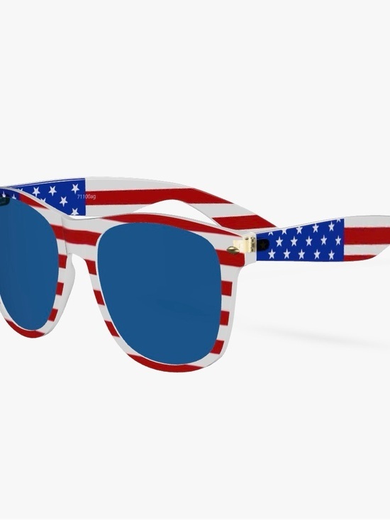 Palm Harbor optics Other - Sunglasses patriotic red white blue flag